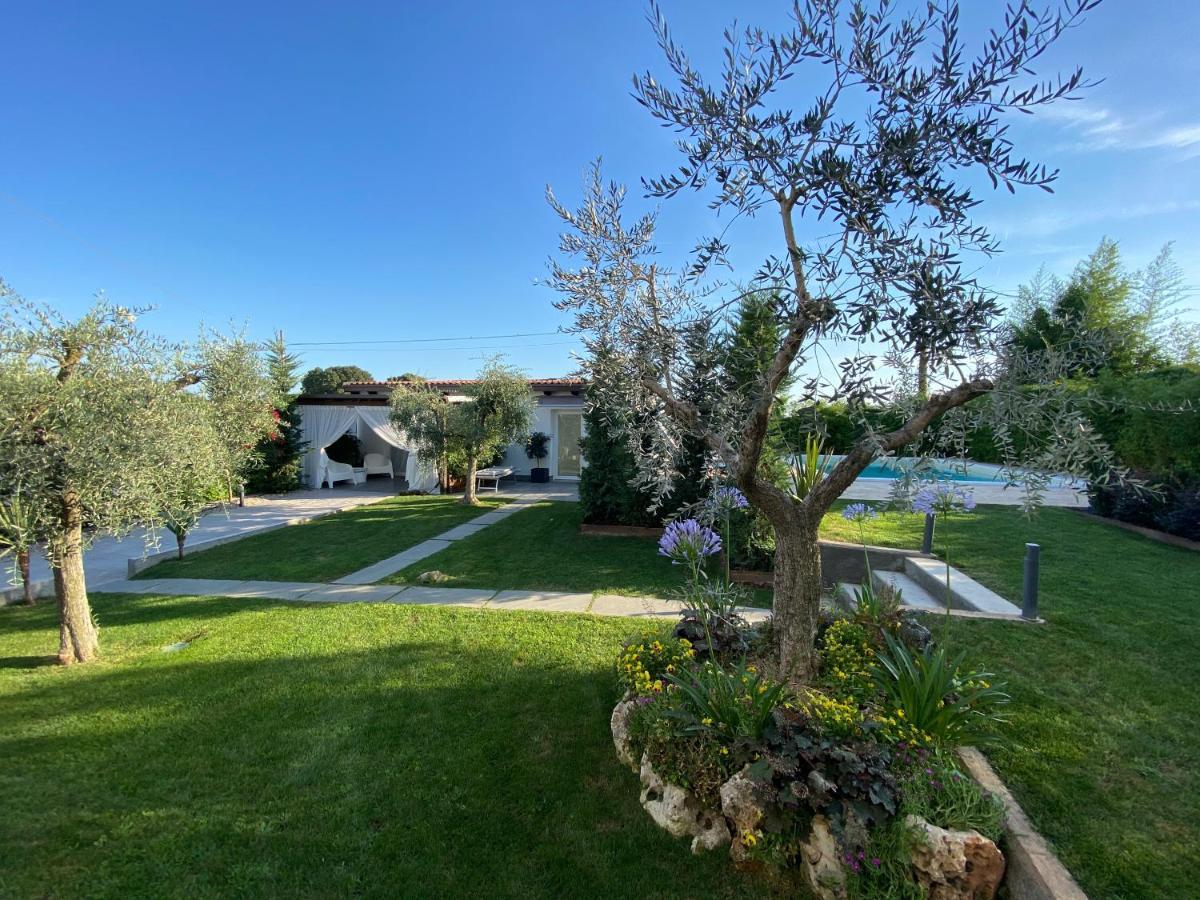 Mincio Relais Bed & Breakfast Castelnuovo del Garda Ngoại thất bức ảnh